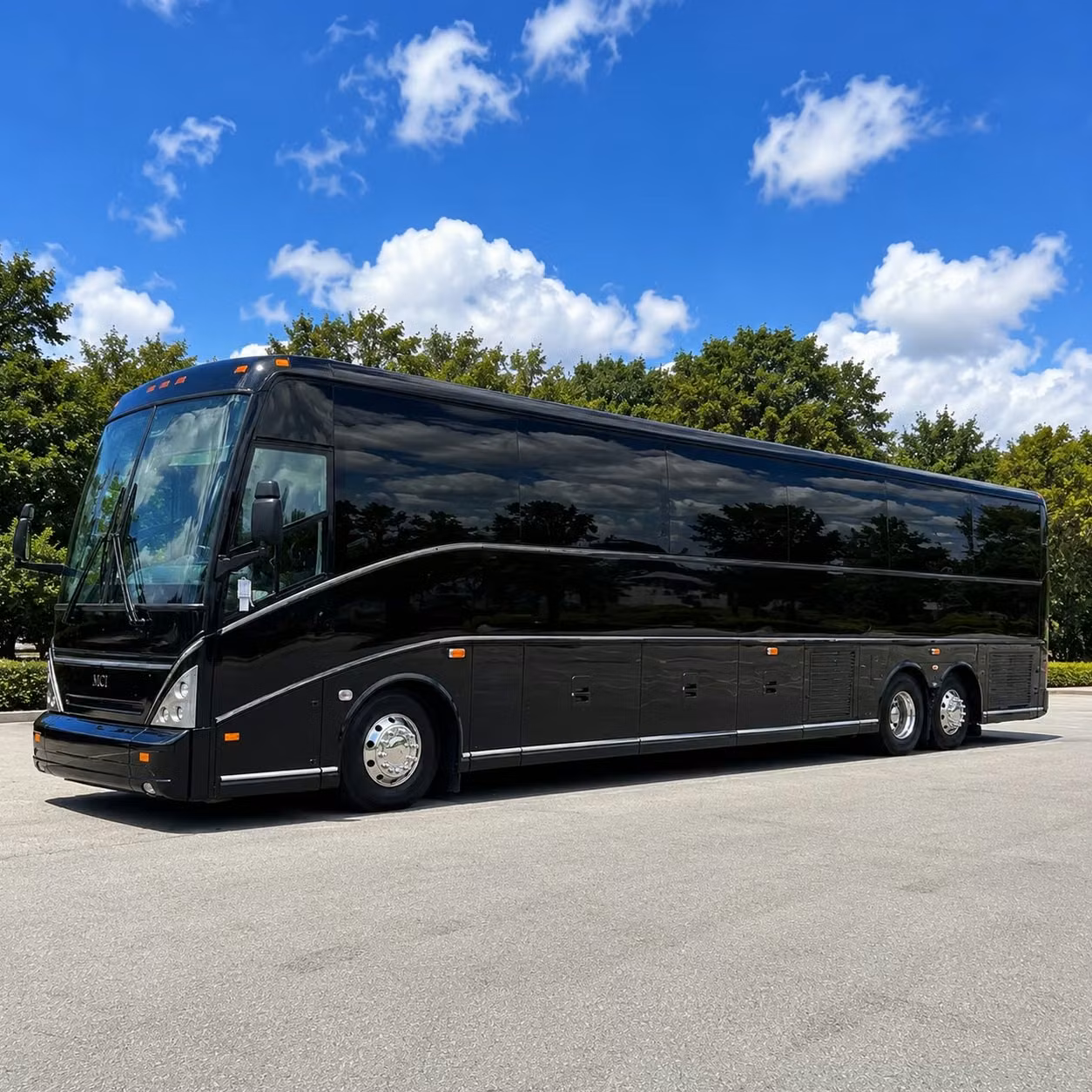edison wedding guest shuttles and celebration transportation
